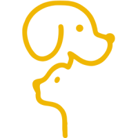 /logo